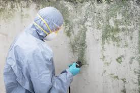 Best Biohazard Mold Removal  in Decherd, TN